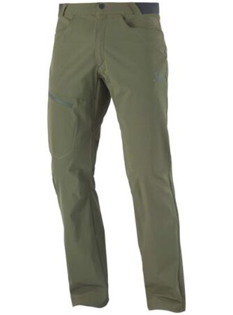 Salomon Wayfarer Pants Mens, Forest Night