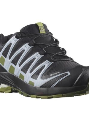 Salomon XA Pro 3D v8 GTX Womens, Black / Zen