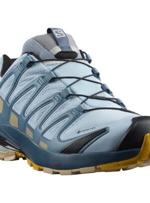 Salomon XA Pro 3D v8 GTX Womens, Kentucky Blue / Dark Denim