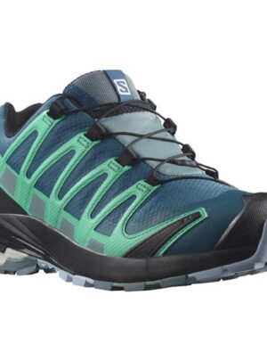 Salomon XA Pro 3D v8 GTX Womens, Legion / Trooper