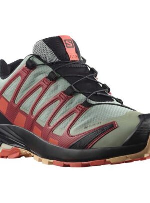 Salomon XA Pro 3D v8 GTX Womens, Wrought Iron / Burnt Sienna