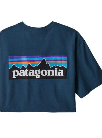 Patagonia Mens P-6 Logo Responsibili-Tee, Crater Blue