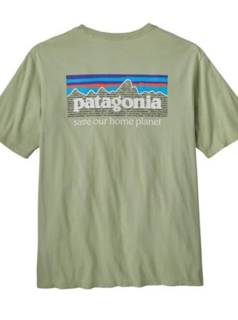 Patagonia Mens P-6 Mission Organic T-Shirt, Salvia Green