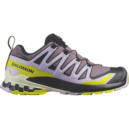 Salomon XA Pro 3D v9 GTX Dame