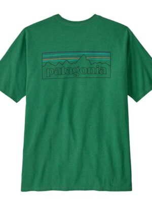 Patagonia Mens P-6 Logo Responsibili-Tee, P-6 / Heartleaf Green