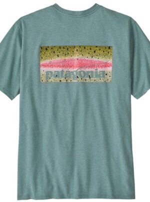 Patagonia Mens Take a Stand Responsibili-Tee, Rainbow Run Blue Sage