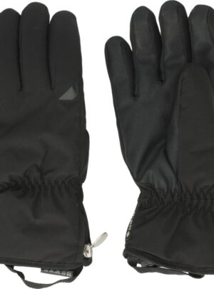 Zanier Lady Gore-Tex Skihandsker Dame