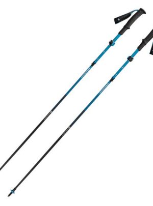 Black Diamond Distance Carbon FLZ Poles