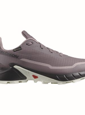 Salomon Alphacross 5 GTX Kvinder / Damer, moonscape/blk/white- 36 / UK 3,5 - Vandresko