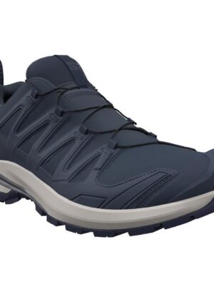 Salomon XA Pro 3D V9 GTX Mens, Spellbound / Grisaille
