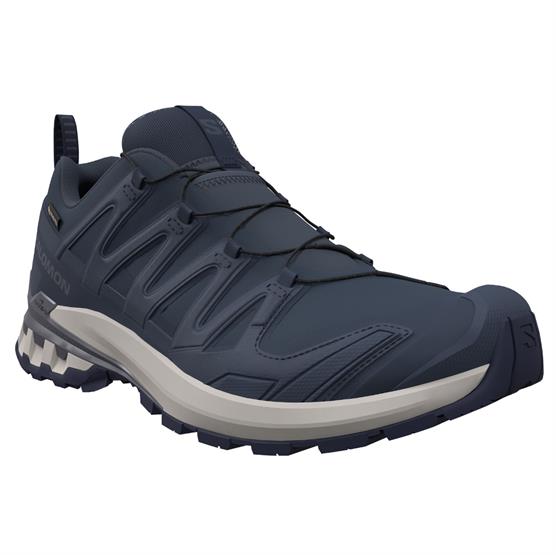 Salomon XA Pro 3D V9 GTX Mens, Spellbound / Grisaille Salomon XA Pro 3D V9 GTX Mens, Spellbound / Grisaille