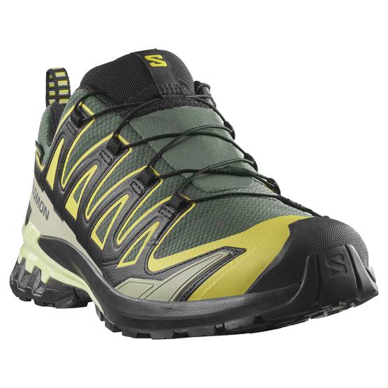 Salomon XA Pro 3D V9 GTX Mens, Urban Chic / Black Salomon XA Pro 3D V9 GTX Mens, Urban Chic / Black