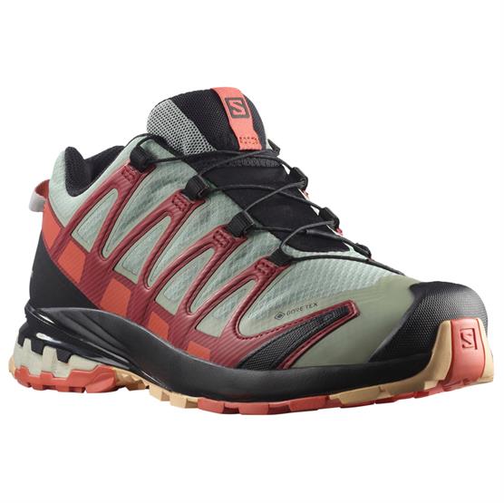 Salomon XA Pro 3D v8 GTX Womens, Wrought Iron / Burnt Sienna Salomon XA Pro 3D v8 GTX Womens, Wrought Iron / Burnt Sienna