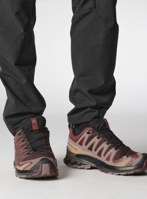 Salomon XA Pro 3D v9 GTX Herre / Mænd, blk coffee/r.raisin-42 / UK 8 - Vandresko