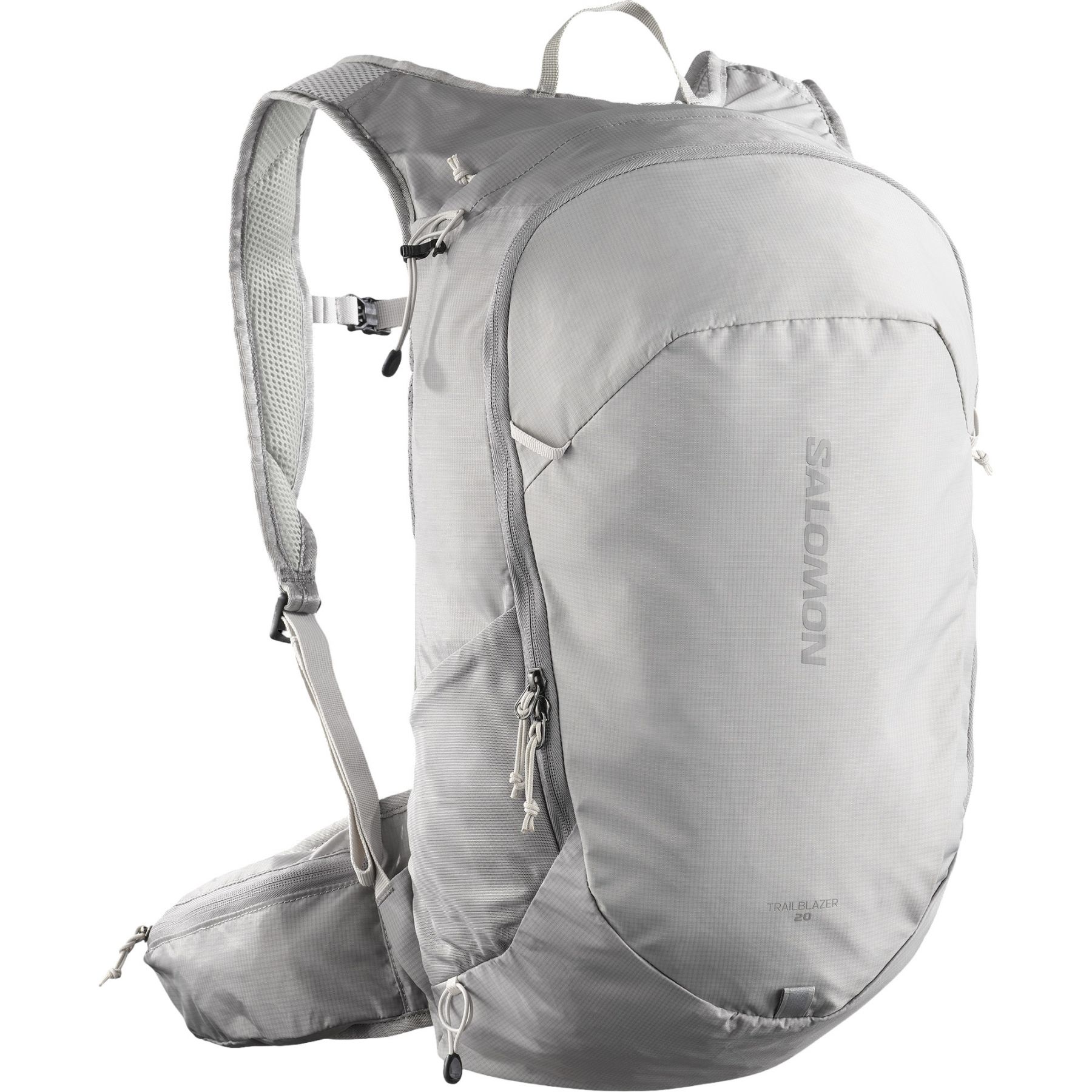 Salomon Trailblazer 20, rygsæk, grå/sølv Salomon Trailblazer 20, rygsæk, grå/sølv