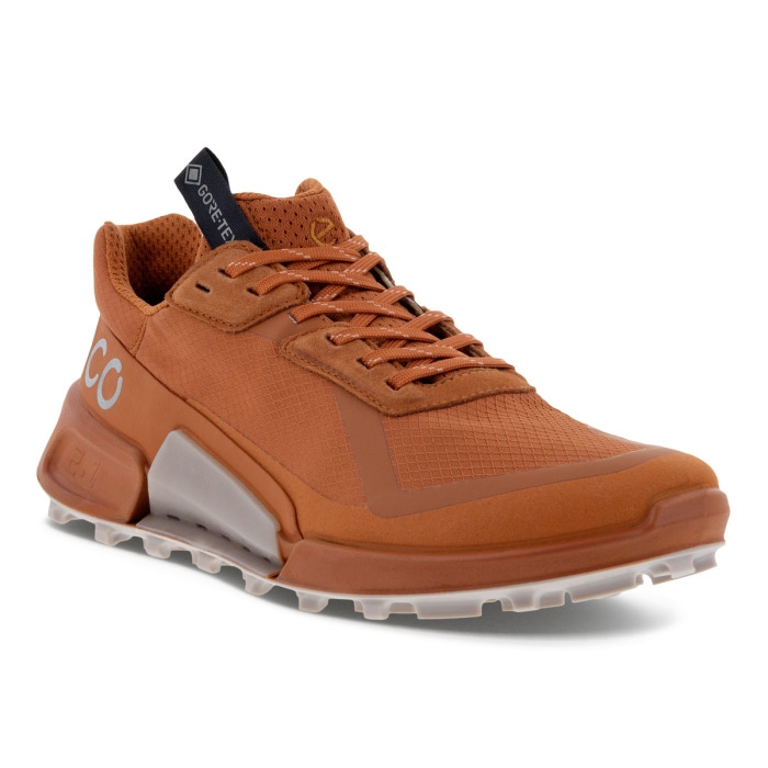 Ecco BIOM 2.1 Country GTX Women, sierra Ecco BIOM 2.1 Country GTX Women, sierra