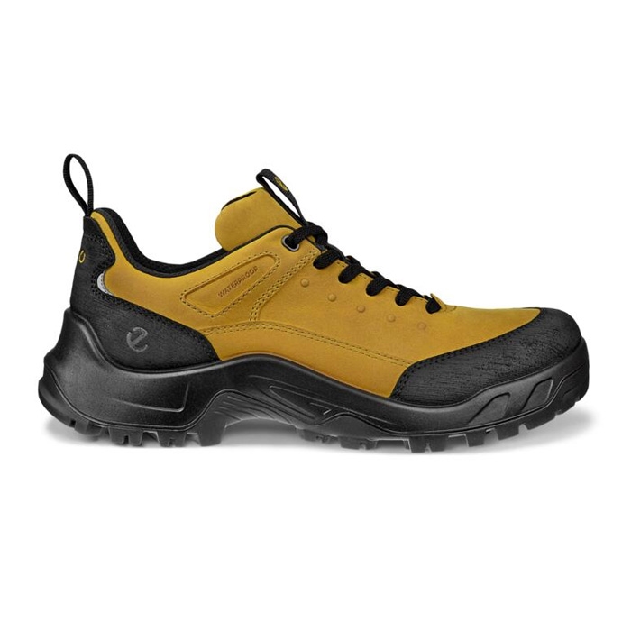 Ecco Offroad Leather Waterproof V2 Men, black/olive oil Ecco Offroad Leather Waterproof V2 Men, black/olive oil