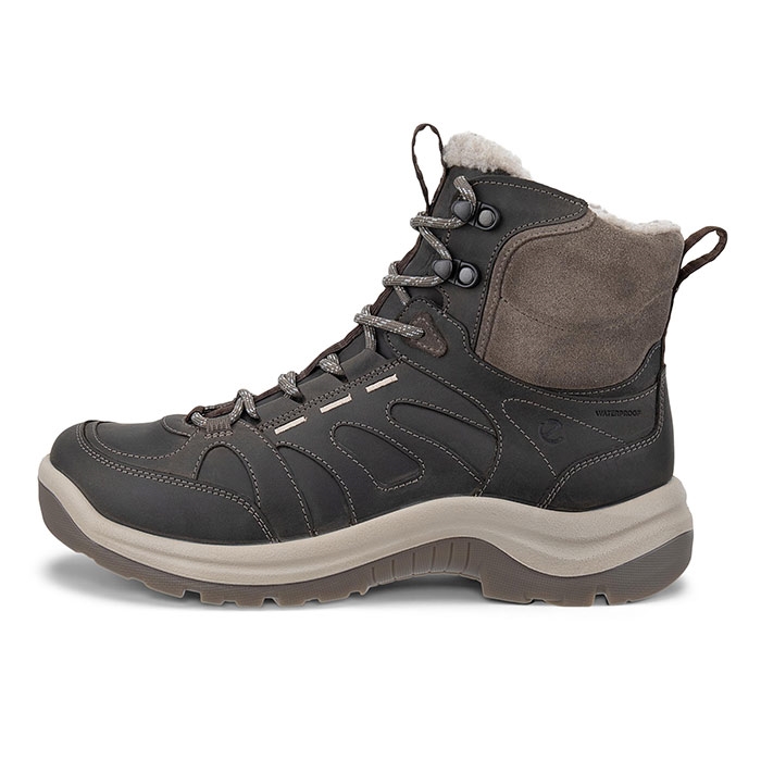 Ecco Offroad Warm Boot WP Women, falcon Ecco Offroad Warm Boot WP Women, falcon