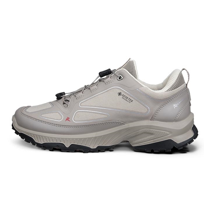 Ecco Receptor XP GTX Inv Fit Women, pure cashmere Ecco Receptor XP GTX Inv Fit Women, pure cashmere