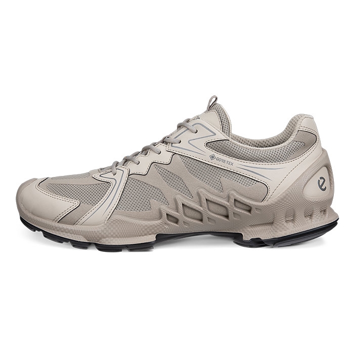 Mød Ecco BIOM AEX GTX Tex Men, moon rock Mød Ecco BIOM AEX GTX Tex Men, moon rock