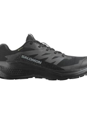 Salomon Alphaglide GTX Men, black