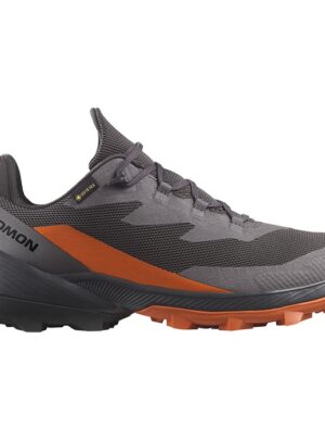 Salomon Cross Over 2 GTX, magnet/phantom/spice