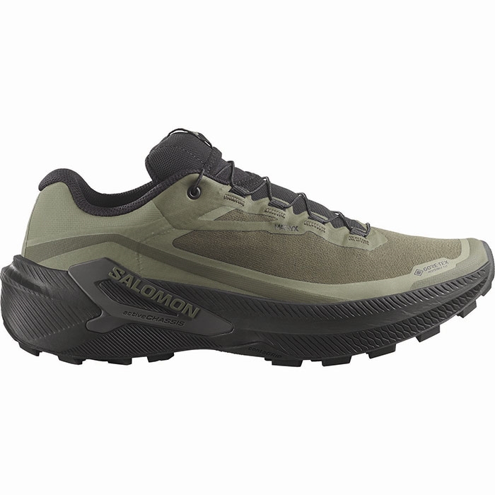 Salomon Genesis 2 GTX Men, grape leaf/blk/dlg Salomon Genesis 2 GTX Men, grape leaf/blk/dlg