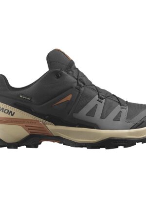 Salomon X Ultra 360 GTX, phantom/safari/caramel cafe