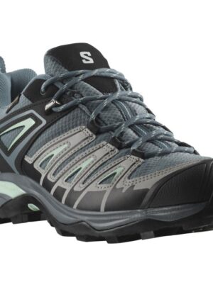 Salomon X Ultra Pioneer GTX Women, stormy w./alloy