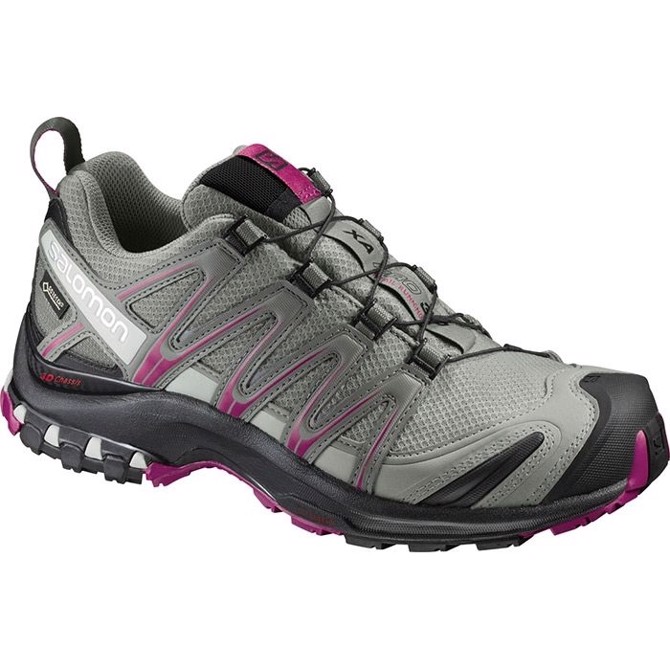 Salomon XA Pro 3D GTX Women, shadow/bk/sangria-37 1/3 / UK 4,5 Salomon XA Pro 3D GTX Women, shadow/bk/sangria-37 1/3 / UK 4,5