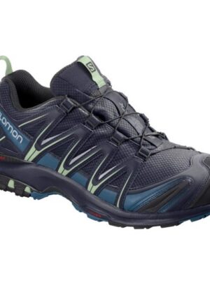 Salomon XA Pro 3D GoreTex Women, navy blaze/lyons-42 / UK 8