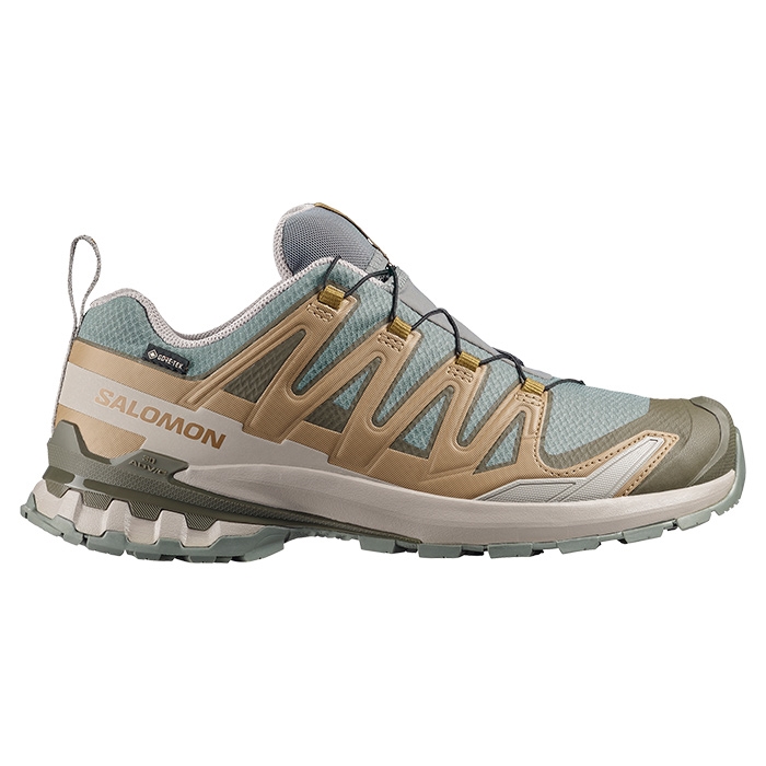 Salomon XA Pro 3D v9 GTX Men, sedsa/brilli/paloma Salomon XA Pro 3D v9 GTX Men, sedsa/brilli/paloma