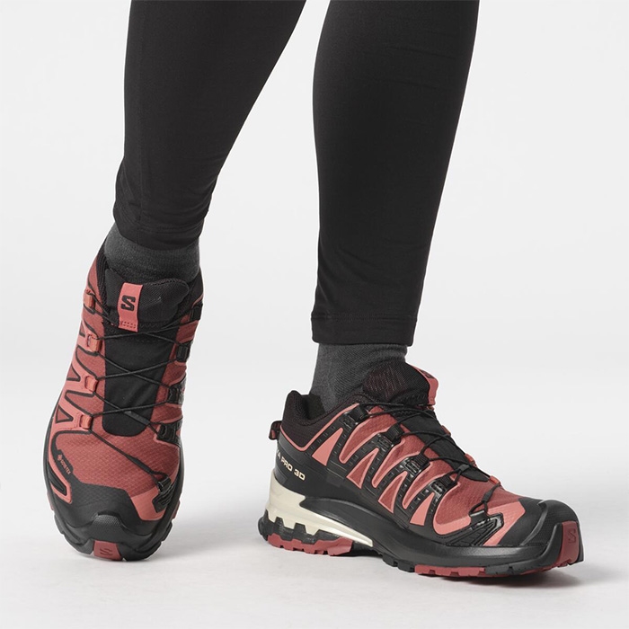 Salomon XA Pro 3D v9 GTX Women, c.hide/blk/f.rose Salomon XA Pro 3D v9 GTX Women, c.hide/blk/f.rose