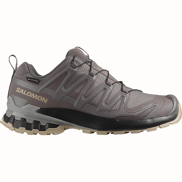 Salomon XA Pro 3D v9 GTX Women, plum kitten/blk/gull Salomon XA Pro 3D v9 GTX Women, plum kitten/blk/gull